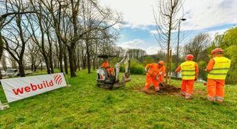 A Milano oltre 730 alberi messi a dimora nei parchi colpiti dal nubifragio del 2023