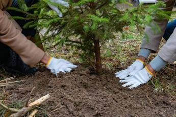 Ambiente e inclusione, la responsabilità sociale fa bene a territori e comunità