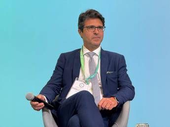 Andreoli (Renael e Aess): “Per transizione green puntare su partenariato”