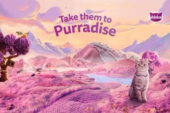 Animali, Whiskas: un test per scoprire la personalità del proprio gatto