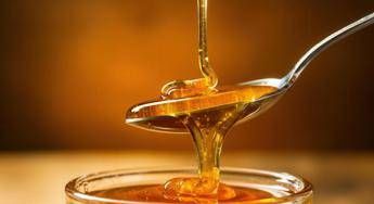 Da antiossidante ad antibatterico, perché il miele è un super food