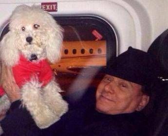 Ddl animali è legge: da Gandhi a Dudù, le citazioni in Senato