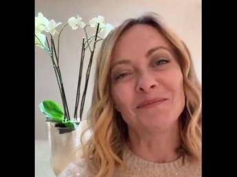 Festa della mamma, il messaggio di Meloni: “Essere madre sfida più straordinaria”