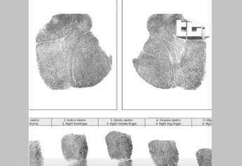 Garlasco, Tg1: “Impronta di Sempio vicino al corpo di Chiara Poggi”