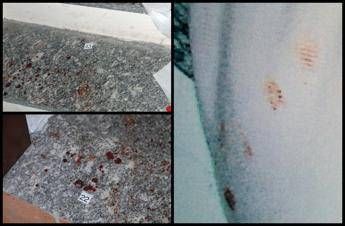 Garlasco, la dinamica dell’omicidio di Chiara Poggi: “L’assassino non scende le scale”