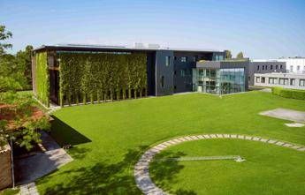 Il giardinaggio nell’era digitale: una passione europea resa accessibile dalla tecnologia