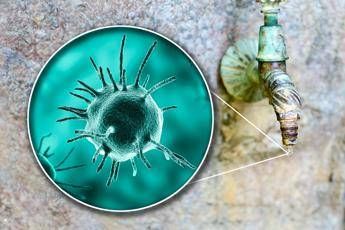 Malattie rare, Sitrac: “Non accessibile farmaco approvato in cheratite da Acanthamoeba”