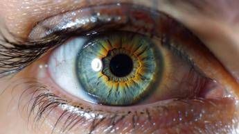 Medicina, in Abruzzo prima terapia genica per la maculopatia