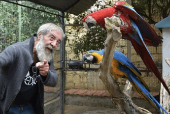 Palermo, rubati due pappagalli dal rifugio dei gatti