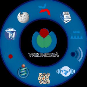 Wikipedia e il sostegno al patrimonio culturale italiano