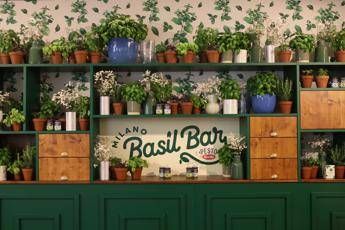 Food: a Milano arriva il Basil Bar, temporary bistrot dedicato al basilico