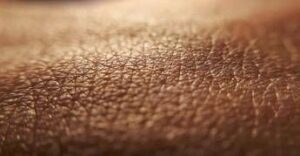 Medici ambiente, ‘aumenta età biologica organismo e la pelle è più a rischio’