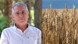 Nutriente, versatile e senza glutine, cos’è il ‘Grano de oro’