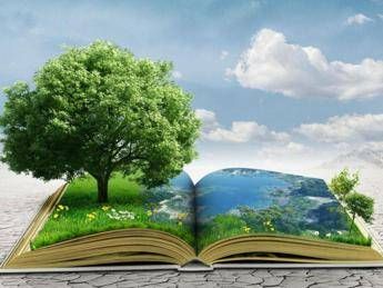 Raccontare le sfide ecologiche, i finalisti del Premio Demetra