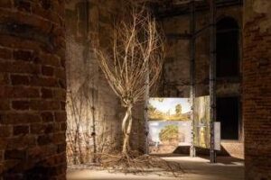 Sostenibilità, Gruppo Saviola: Pannelli Ecologici per Triennale Milano e Biennale Architettura