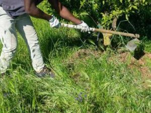 Caldo, Rebuzzi: “Può uccidere, impedire lavoro all’aperto nella morsa dell’afa”