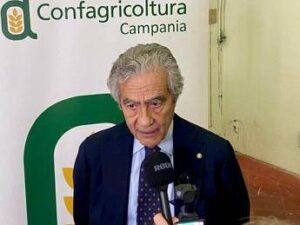 Dazi, Marzano (Confagricoltura Campania): “Più a rischio produzioni meno strutturate”