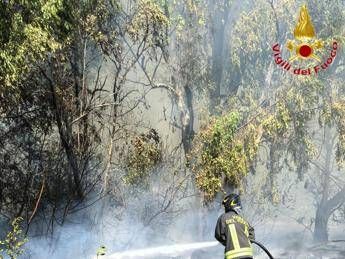 Incendio a Roma ovest, rogo di sterpaglie minaccia case e negozi
