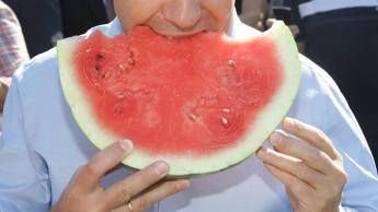 Nutrizionista: “contro il caldo anguria e frutti estivi per integrare naturalmente i sali minerali”