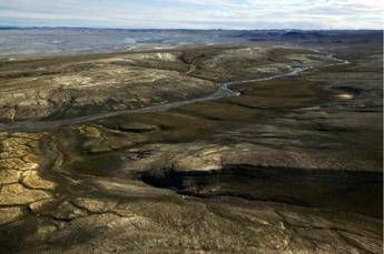 Proteine di oltre 20 milioni di anni fa rivoluzionano gli studi evoluzionistici