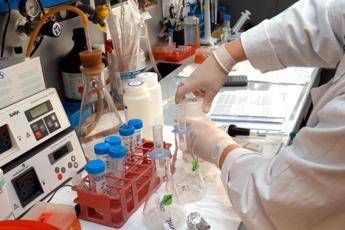 Studio italiano sul morbillo: “Dove vaccinazioni calano virus più vario e resiliente”