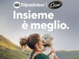 Vacanze, quasi la metà italiani rinuncia a viaggiare con il proprio cane