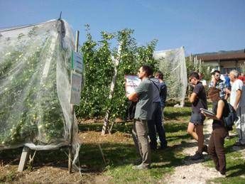 Bonus agricoltori, al via da oggi le domande: a chi spetta e come funziona