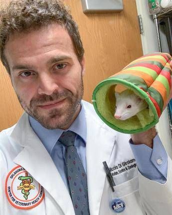 Estate, animali esotici da soli a casa? Il veterinario: “Non più di 24 ore”