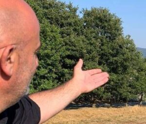 Ferragosto, Grillo (Turismo Verde-Cia): “Tra natura, relax e buon cibo sold out agriturismi”
