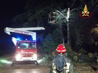 Forte temporale sulla Romagna, allagamenti e alberi caduti