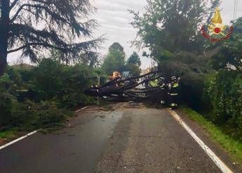 Maltempo al centronord, alberi caduti e allagamenti: oltre 1300 gli interventi dei Vigili del Fuoco