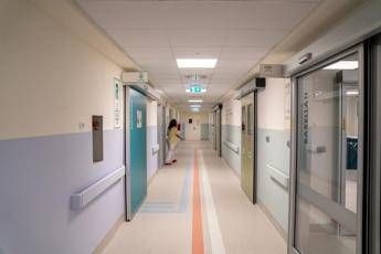 Candida auris, studio svela possibile tallone d’achille del fungo killer che spaventa ospedali