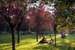 Equinozio di autunno 2025, quando inizia la nuova stagione