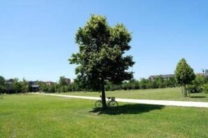 Estate piena nel weekend poi arriva l’autunno con forti temporali
