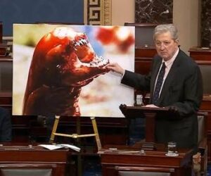 “I gamberi ti fanno diventare Alien”, l’allarme del senatore Kennedy