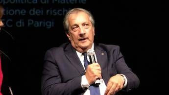 Legno, Semeraro (Rilegno): “Consorzio impegnato ad ottimizzare risorse forestali”