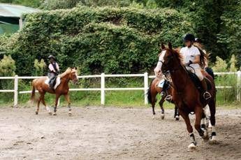 Milano, abusi su allieve minorenni: arrestato istruttore di equitazione