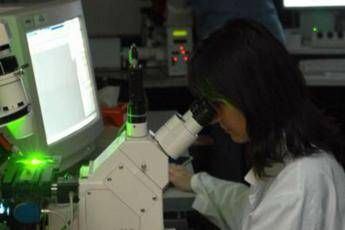 Sclerosi multipla, nuovi criteri per diagnosi più rapide e precise