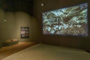 Il Museo delle Civiltà presenta LABORATORIO NEANDERTHAL. Le scoperte di Grotta Guattari