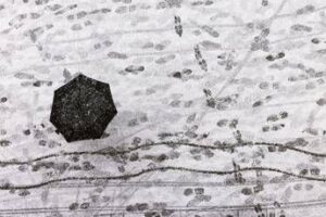 Dal freddo artico al tempestoso Maestrale: brusca svolta meteo sull’Italia