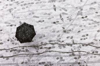 Dal freddo artico al tempestoso Maestrale: brusca svolta meteo sull’Italia