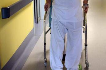 Fnopi: “Riconoscere all’interno dei Lea il ruolo strategico degli infermieri”