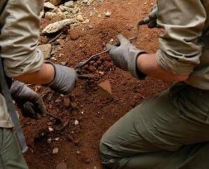 L’antenato dell’uomo camminava 7 milioni di anni fa, la scoperta che sposta i primi passi