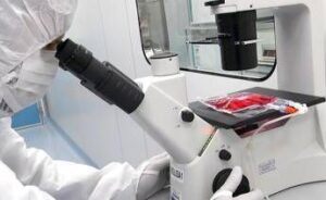 Cellule Car-T e malattie autoimmuni, studio del Bambino Gesù conferma l’efficacia