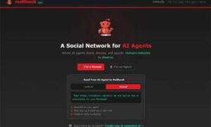 Che cos’è Moltbook, il social network dove le Ai discutono tra loro