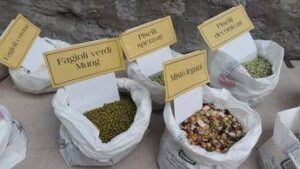 Cuore e colesterolo, l’effetto dei legumi: da lenticchie e ceci a fagioli e piselli, le proprietà