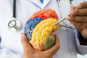 Malattie neuromuscolari e miastenia grave, nasce academyX per l’alta formazione