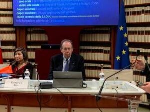 Riva (Cnel): “Puntiamo a obbligo tutela per pazienti fragili”