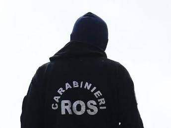 Dossieraggi, inchiesta Roma su ‘Squadra Fiore’: in corso perquisizioni