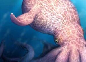 Il Kraken è esistito e dominava gli oceani, la scoperta sul ‘mostro dei mari’